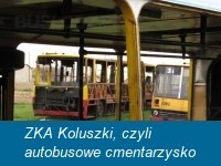ZKA Koluszki, czyli autobusowe cmentarzysko