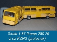 237.jpg