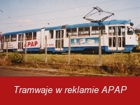748.jpg