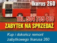 781.jpg