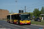 25174.jpg