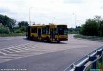 25526.jpg
