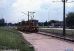 25554.jpg